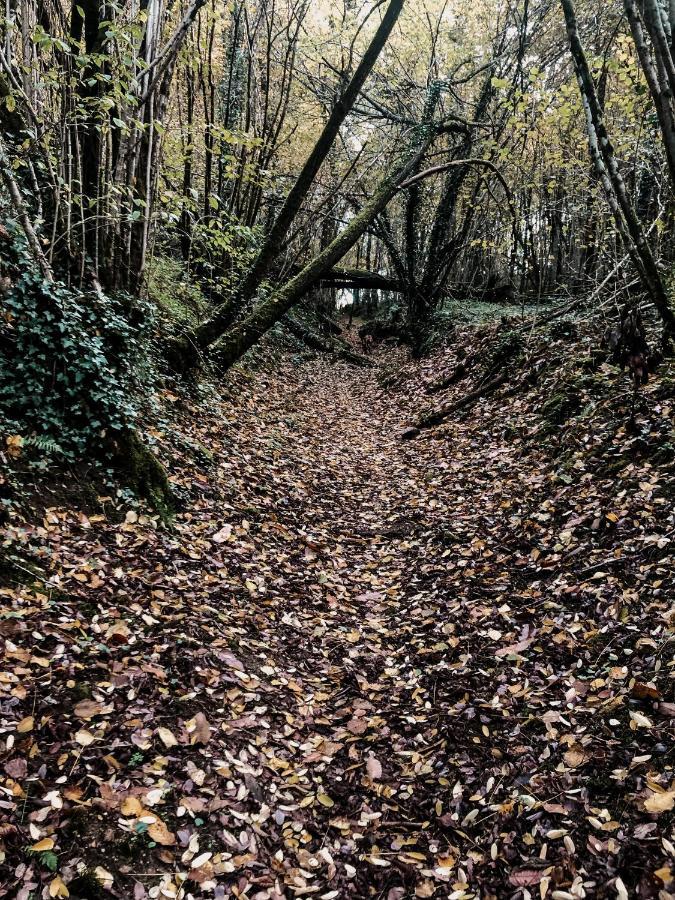 La Ferme Du Pont De Maumy, Cabane Au Bord De L'Etang Et Bain Nordique Busserolles Kültér fotó