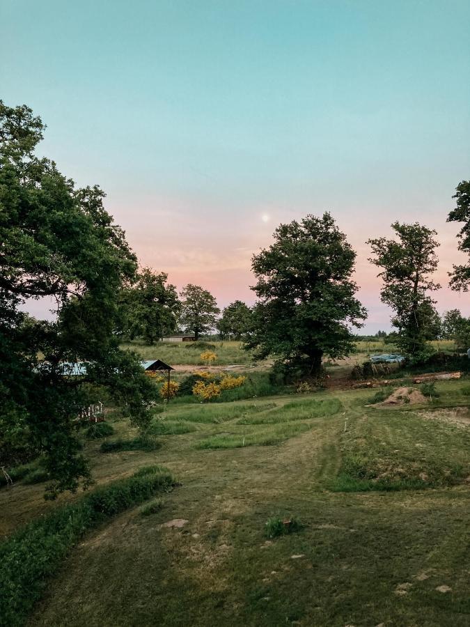 La Ferme Du Pont De Maumy, Cabane Au Bord De L'Etang Et Bain Nordique Busserolles Kültér fotó