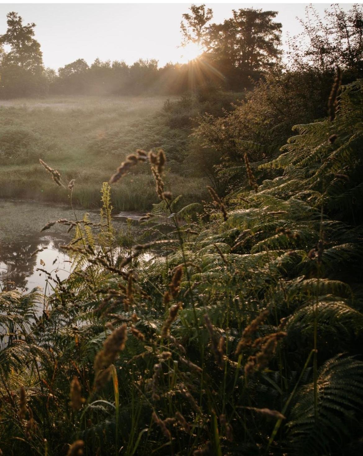 La Ferme Du Pont De Maumy, Cabane Au Bord De L'Etang Et Bain Nordique Busserolles Kültér fotó